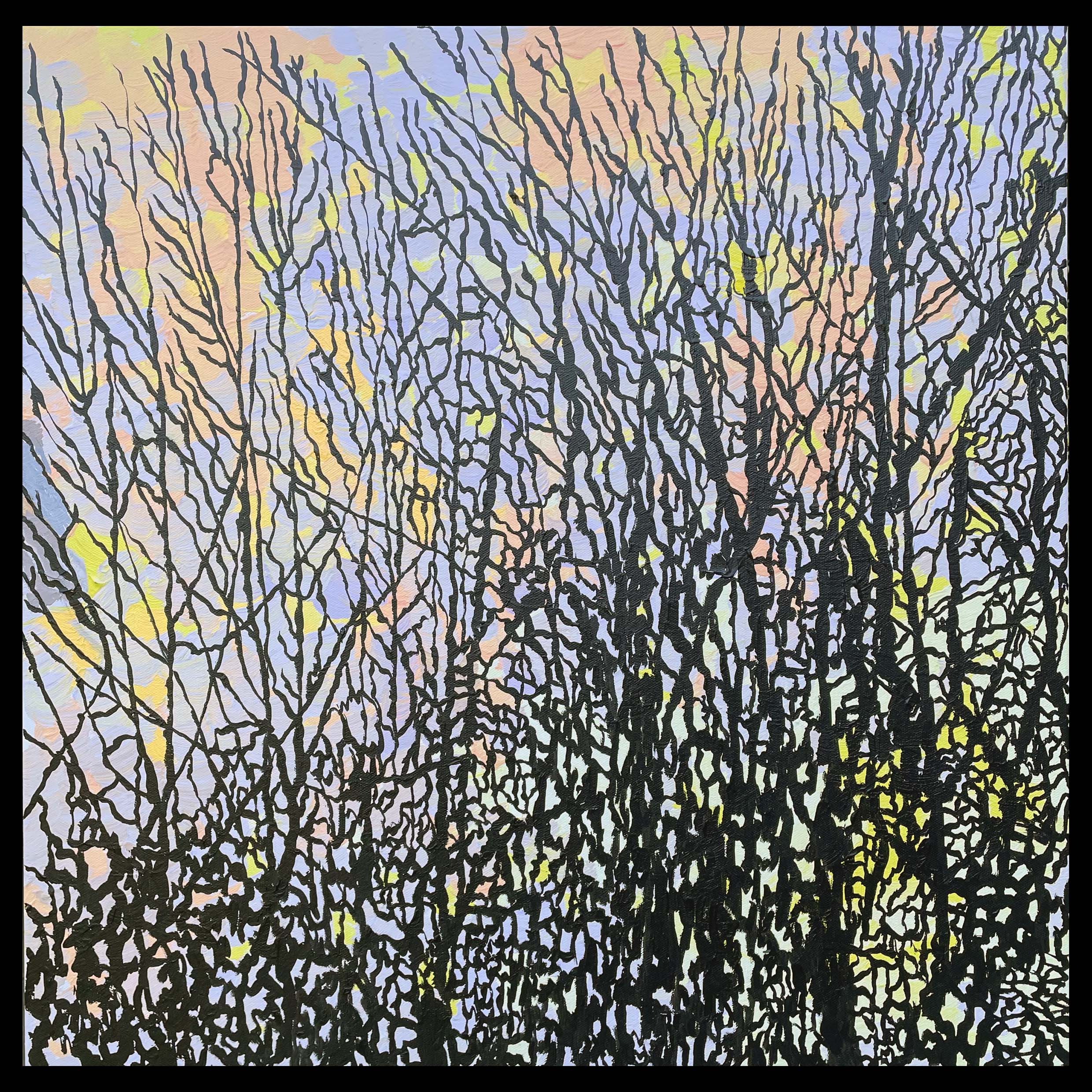 Forest Silhouette No. 9
